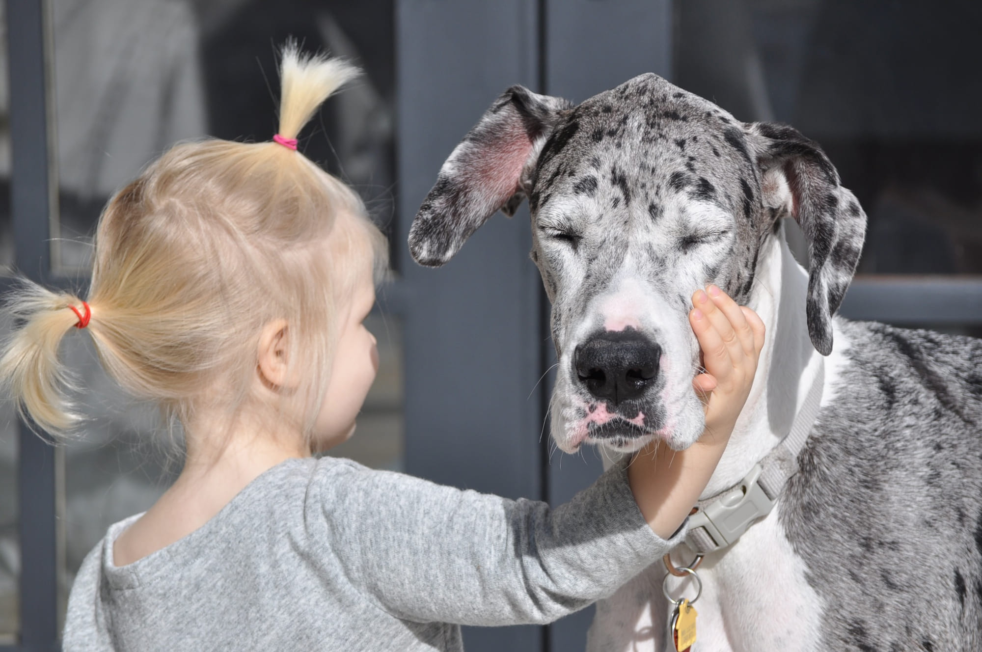 Our daughter gently touching Lily's face.