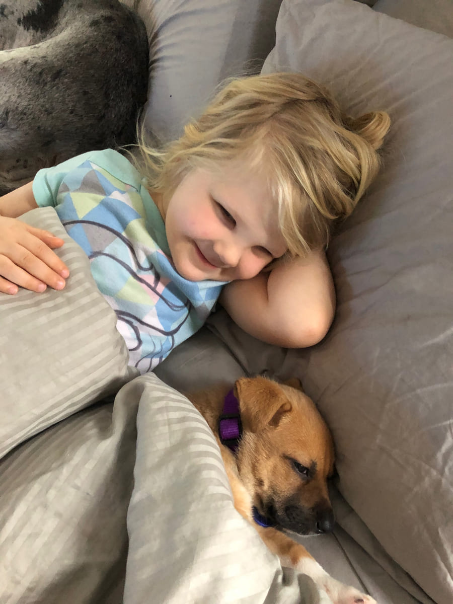 Our daughter sleeping beside a rescued dog.