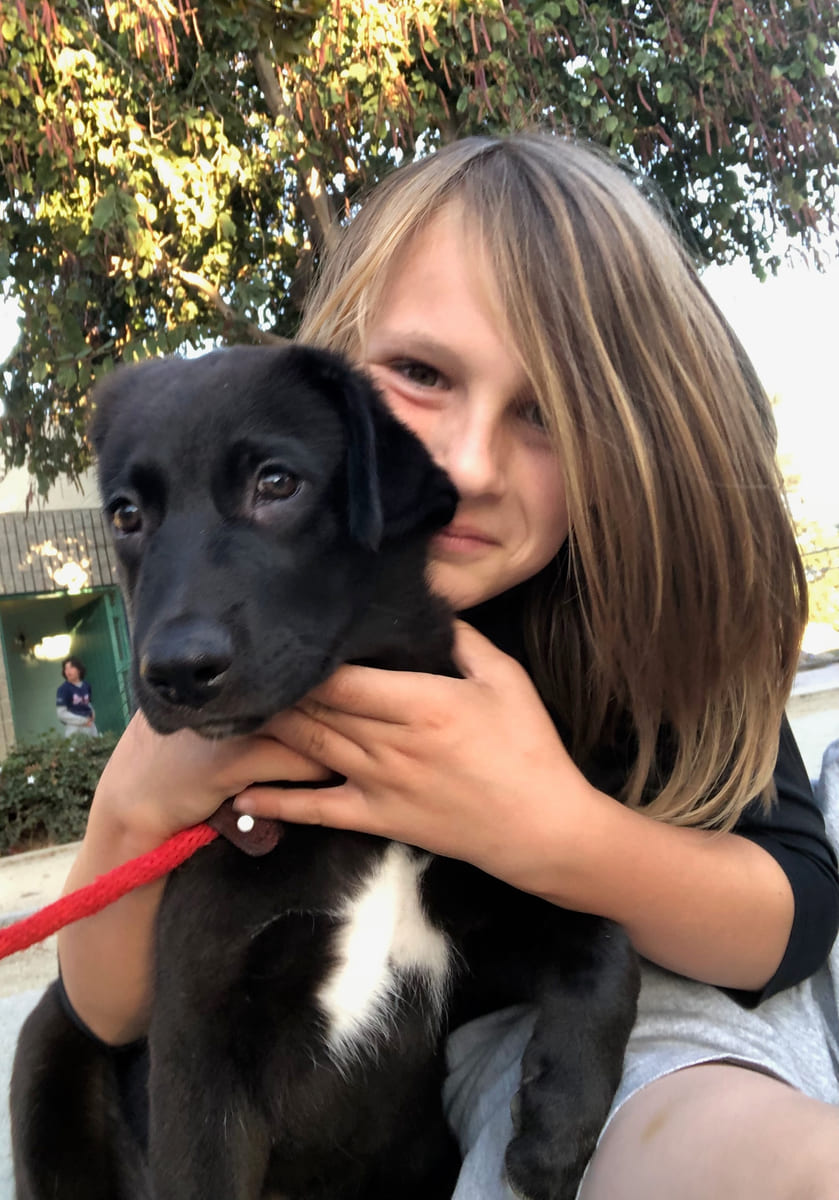 Our son holding a rescued black dog.