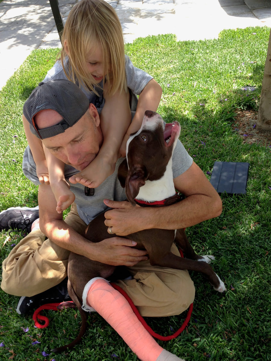A brown and white rescued dog held close in the garden.