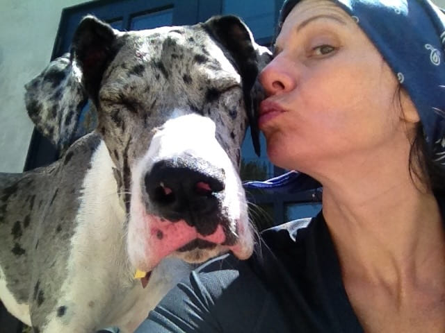 Lily getting a kiss on the nose.