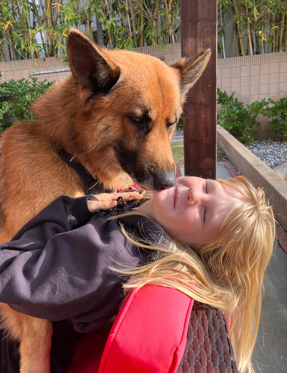 A rescued shepherd nuzzling in close.