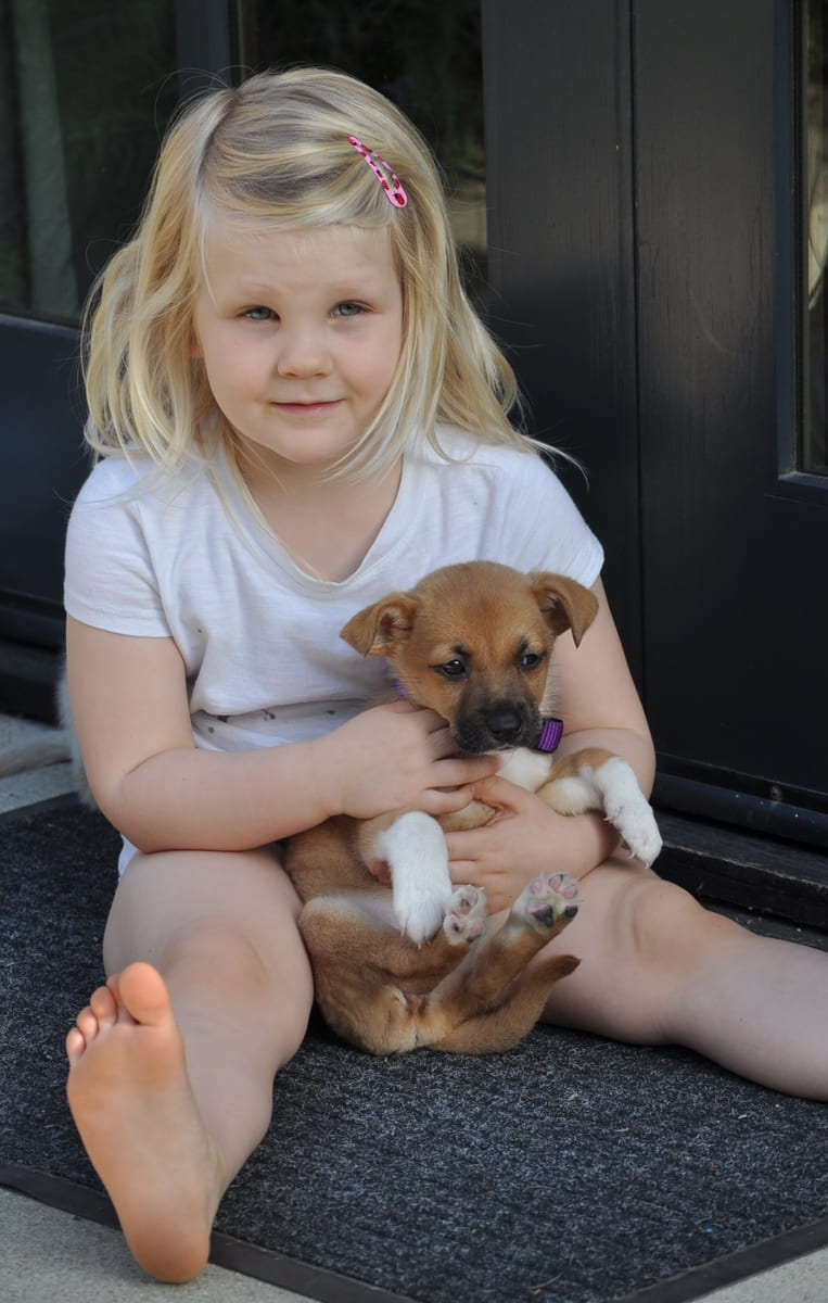 A small rescued puppy held in a doorway.
