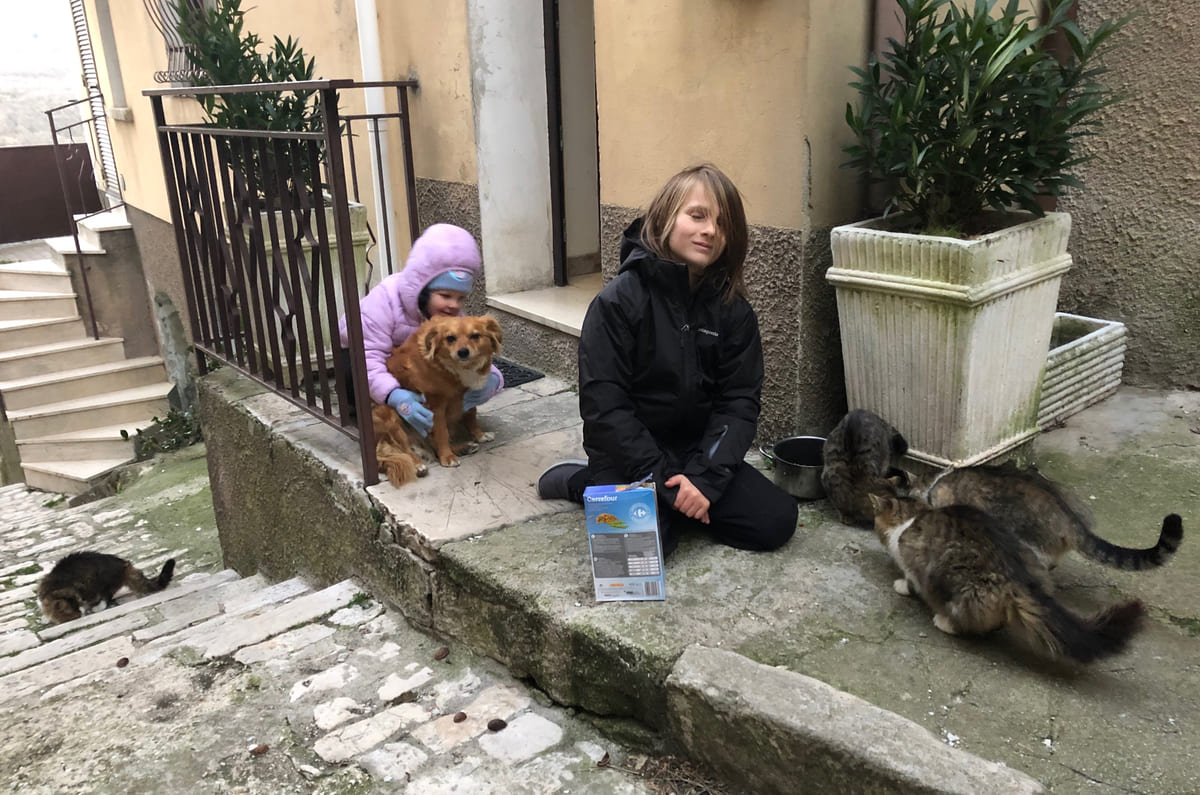 A small rescued dog on the front steps, cats nearby.