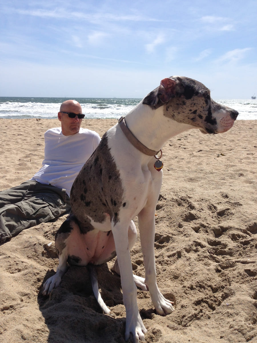Mark at the beach with Lily and another dog.
